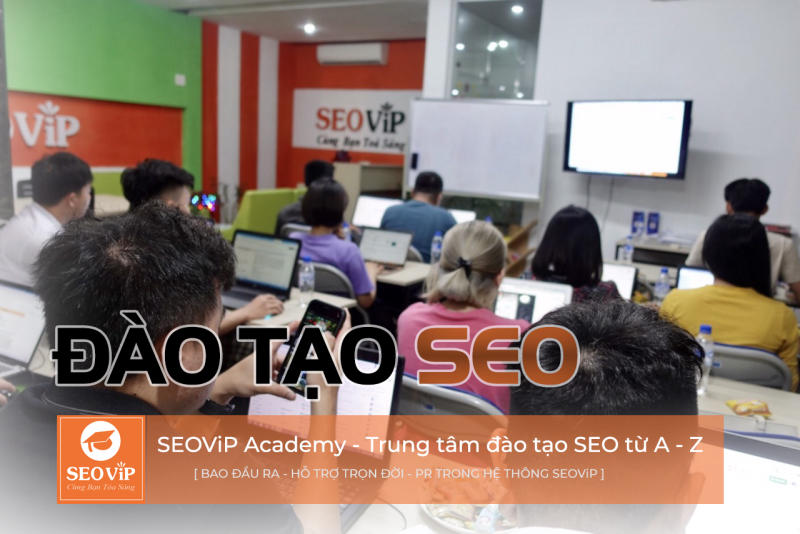 Học SEO tại SEOViP