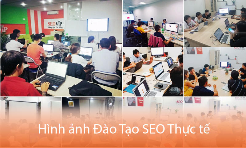 Học SEO tại SEOViP – Cơ hội nghề nghiệp rộng mở cho bạn